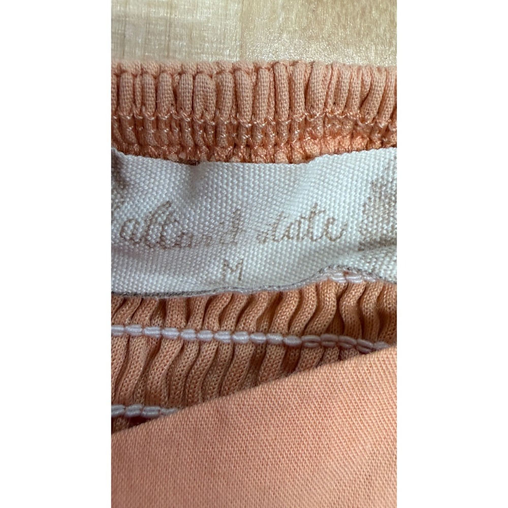 Altar'd State Cactus Embroidered Mini Dress Womens Medium Peach Excellent Boho - Picture 6 of 8